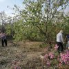 Бригадный метод  социального обслуживания